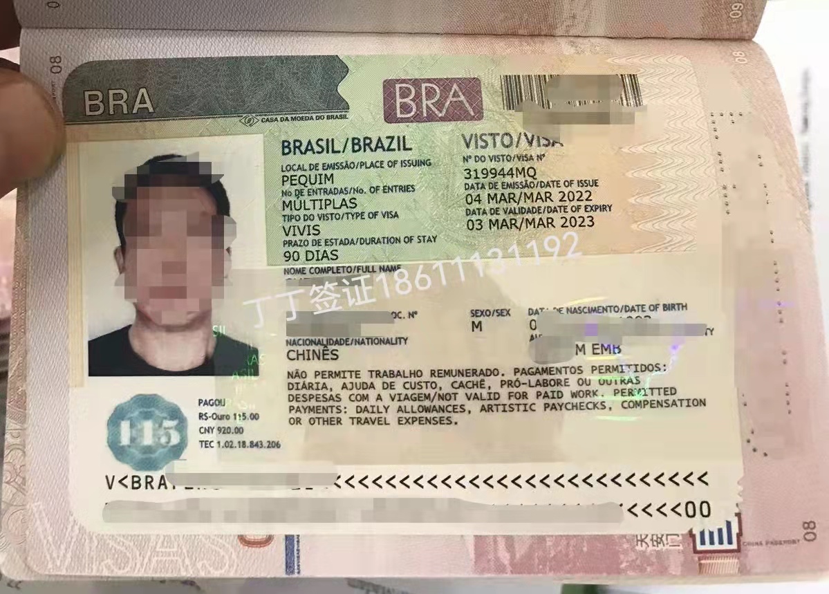 巴西商务旅游探亲工作类签证，正常受理，全国收件！